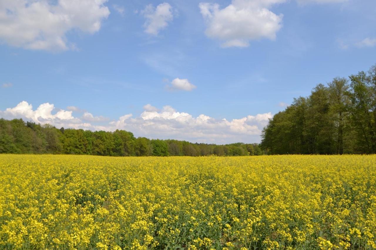 Zauber Der Pfalz Romerberg Екстериор снимка